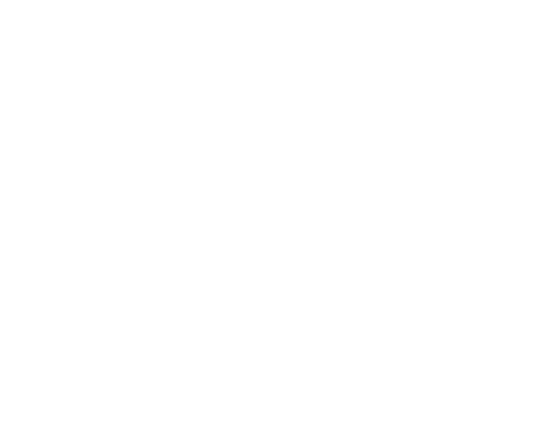 zevo logo